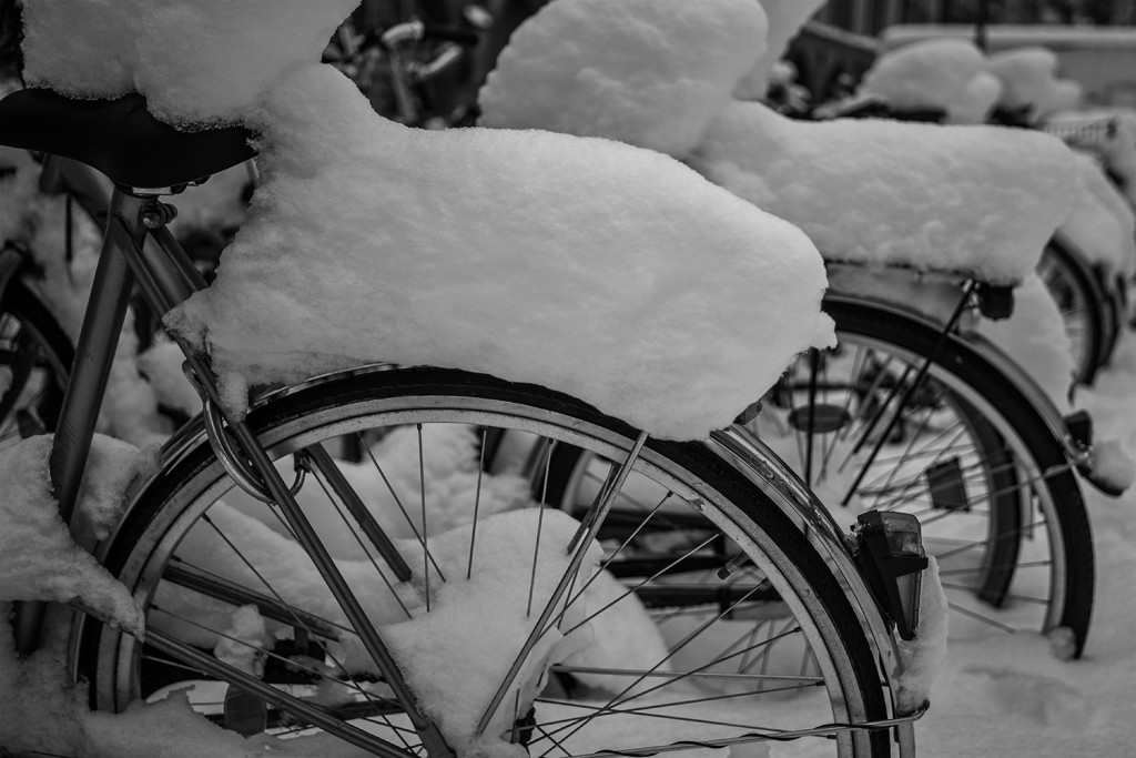 Bicycles in Winter Wonderland2