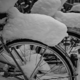 Bicycles in Winter Wonderland