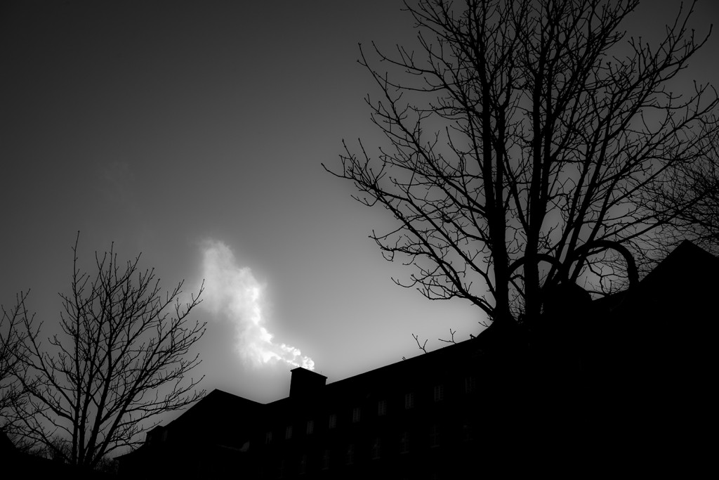 Wednesday, February 25th, 2015 in Bergisch Gladbach - Number 057 of 366mm White smoke at "Kardinal Schulte Haus"