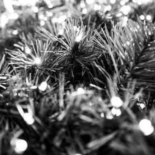 Wednesday, December 30th, 2015 in Frankfurt - Number 365 of 366mm
Christmas tree shortly before the next decoration